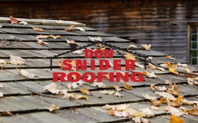 Essential Maintenance Tips to Preparing Your Roof for Fall